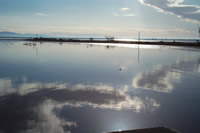 Sonny Bono Wildlife Refuge